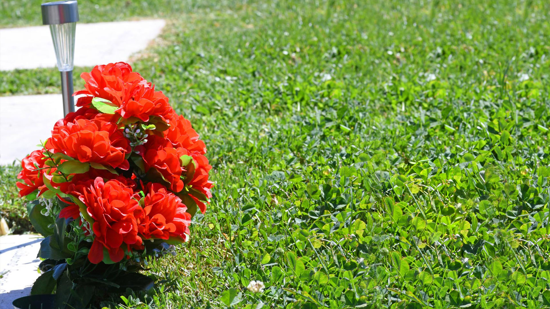 img lospensamientos-36.JPG